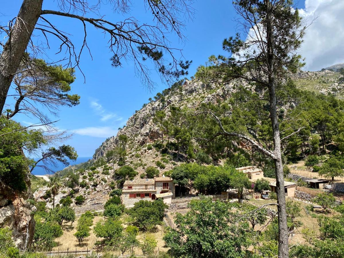 Finca Ses Fontanelles Andratx Extérieur photo
