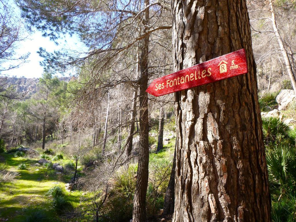 Finca Ses Fontanelles Andratx Extérieur photo
