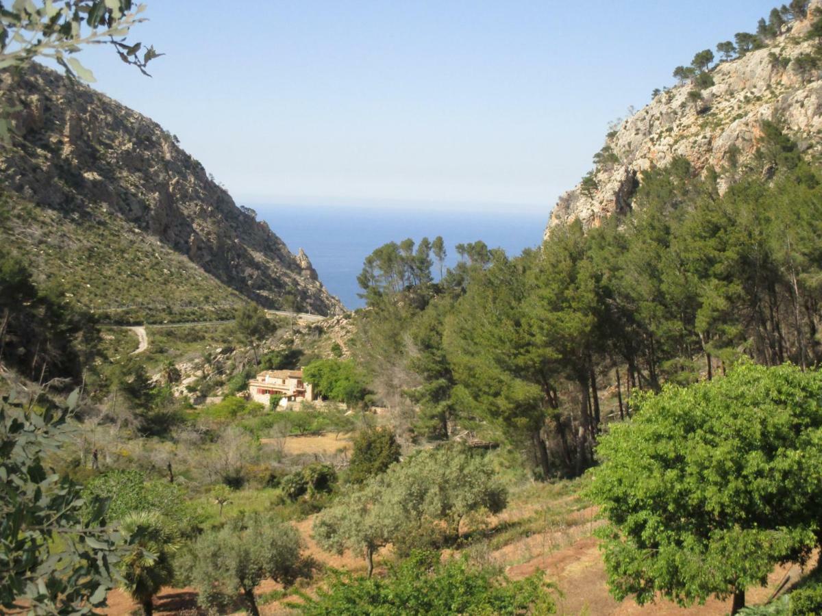 Finca Ses Fontanelles Andratx Extérieur photo