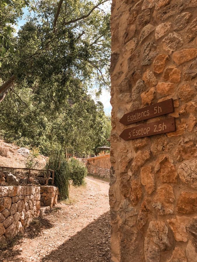 Finca Ses Fontanelles Andratx Extérieur photo